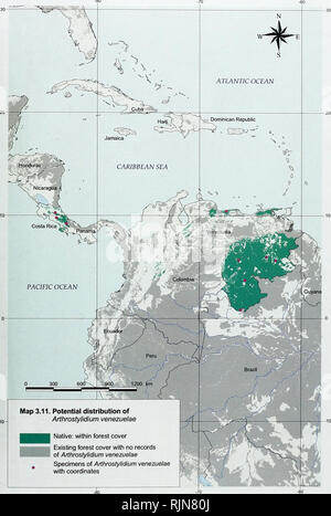 . La biodiversité en bambou : Afrique, Madagascar et les Amériques. Bambou bambou ; Biodiversité ; ; Biodiversité ; Bamboe ; Rotan ; Biodiversiteit ; Bambusgewa ?chse ; BAMBOU ; diversité biologique ; LA CONSERVATION DE LA NATURE ; DES CARTES ; Afrique ; Madagascar ; Amériques. La biodiversité en bambou. Autochtones : l'intérieur du couvert forestier Le couvert forestier existant avec aucun enregistrement d'Arthrostylidium Arthrostylidium de spécimens venezuelae venezuelae avec des coordonnées -80 53. Veuillez noter que ces images sont extraites de la page numérisée des images qui peuvent avoir été retouchées numériquement pour plus de lisibilité - coloration et l'aspect de ces illustrations ne peut Banque D'Images