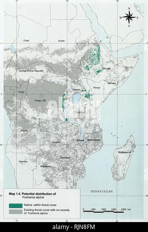 . La biodiversité en bambou : Afrique, Madagascar et les Amériques. Bambou bambou ; Biodiversité ; ; Biodiversité ; Bamboe ; Rotan ; Biodiversiteit ; Bambusgewa ?chse ; BAMBOU ; diversité biologique ; LA CONSERVATION DE LA NATURE ; DES CARTES ; Afrique ; Madagascar ; Amériques. La biodiversité en bambou. 36. Veuillez noter que ces images sont extraites de la page numérisée des images qui peuvent avoir été retouchées numériquement pour plus de lisibilité - coloration et l'aspect de ces illustrations ne peut pas parfaitement ressembler à l'œuvre originale.. , Nadia Bystriakova ; Kapos, Valerie ; Lysenko, Igor ; UNEP World Conservation Monitoring Centre ; International Networ Banque D'Images