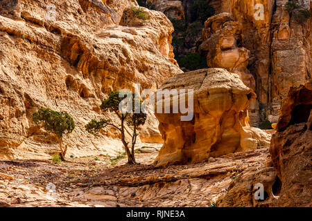 Vue imprenable sur un magnifique canyon à Petra avec des formations rocheuses. Banque D'Images