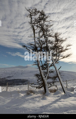 Scènes couvertes de neige dans le parc national de Brecon Beacons, Pays de Galles, Royaume-Uni. Banque D'Images