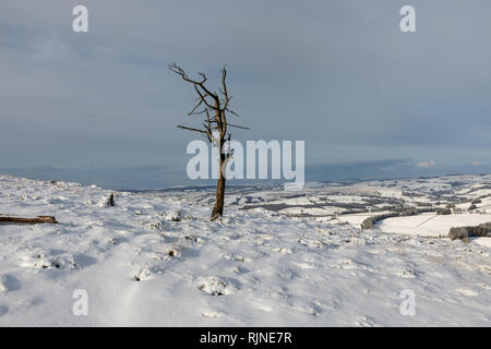 Scènes couvertes de neige dans le parc national de Brecon Beacons, Pays de Galles, Royaume-Uni. Banque D'Images