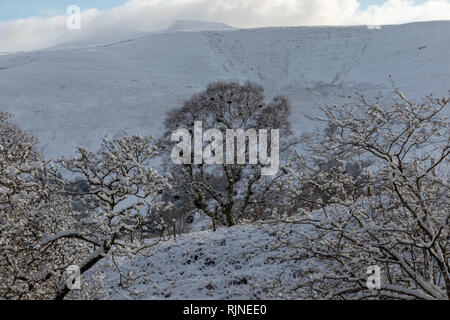 Scènes couvertes de neige dans le parc national de Brecon Beacons, Pays de Galles, Royaume-Uni. Banque D'Images