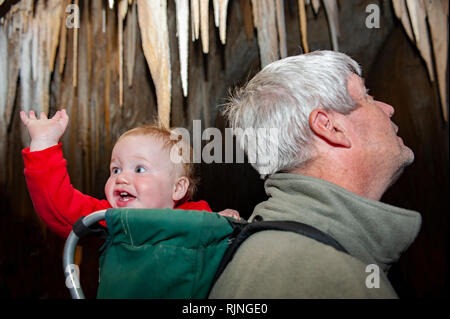 Grotte de Hastings, Tasmanie, Australie Banque D'Images