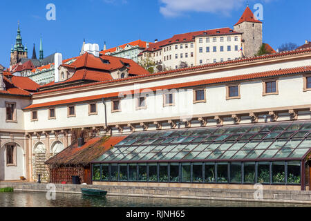 En serre, le jardin Wallenstein Palace avec vue sur le château de Prague de Hradcany, République Tchèque Banque D'Images