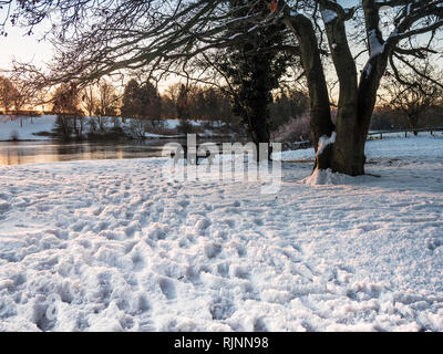 Un hiver enneigé en lever de Coate Water, Wiltshire. Banque D'Images