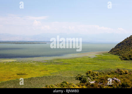 Le Parc National du lac de Skadar, Monténégro Banque D'Images