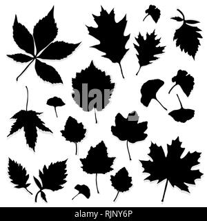 Vecteur silhouette feuilles Illustration de Vecteur