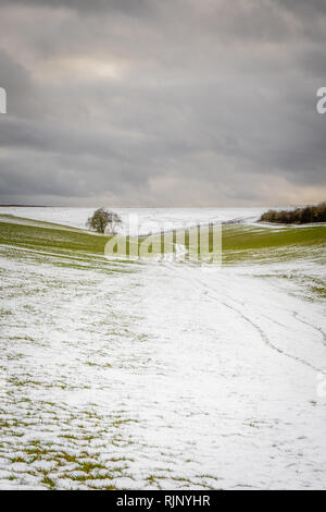 Le paysage dans le parc national des South Downs au cours de l'hiver 2019, Hampshire, England, UK Banque D'Images