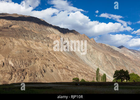 Après-midi de la campagne dans le domaine de l'Turtuk situé dans la vallée de Nubra (en partie le long de fleuves Shyok River) à proximité de la ligne de commande, de Jammu-et-Cachemire, Ladakh, Inde Banque D'Images