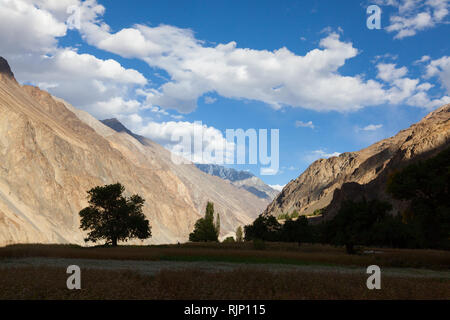 Après-midi de la campagne dans le domaine de l'Turtuk situé dans la vallée de Nubra (en partie le long de fleuves Shyok River) à proximité de la ligne de commande, de Jammu-et-Cachemire, Ladakh, Inde Banque D'Images