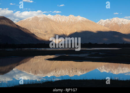 Beau paysage avec un peu des montagnes enneigées reflétant dans l'eau, domaine de la vallée de Nubra, Dogs, le Ladakh, le Jammu-et-Cachemire, l'Inde Banque D'Images