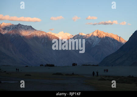 Les touristes à cheval les chameaux de Bactriane dans le magnifique coucher de soleil paysage dans la région de dunes de sable près de la vallée de Nubra, Dogs, le Ladakh, le Jammu-et-Cachemire, l'Inde Banque D'Images