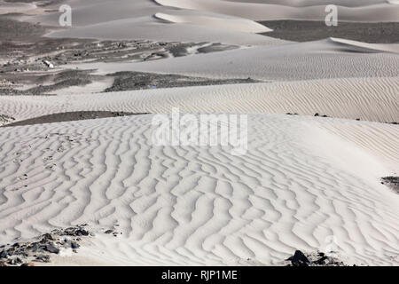 Beaux modèles sur les dunes de sable dans le domaine de la vallée de Nubra, Dogs, le Ladakh, le Jammu-et-Cachemire, l'Inde Banque D'Images