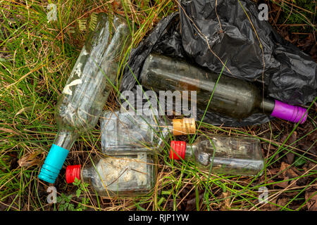 Déchets de verre de vin et de spiritueux bouteilles déversées dans la forêt. Problème environnemental lié à la pollution des ordures dans les bouteilles Banque D'Images