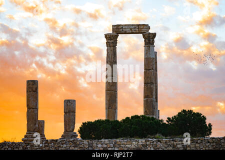 La vue étonnante de quelques magnifiques colonnes de la Citadelle d'Amman au cours d'un beau coucher du soleil, la Jordanie. Banque D'Images