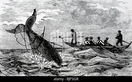 Une gravure représentant la chasse à la baleine dans les mers arctiques. En date du 19e siècle Banque D'Images