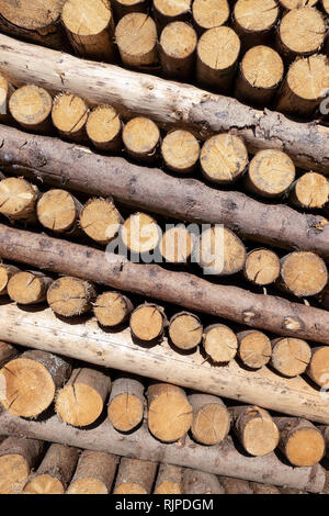 Pile de l'incliné de petits troncs d'arbre Banque D'Images