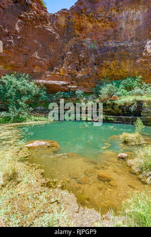 Randonnées à bassin circulaire en dales gorge, parc national de Karijini, Australie occidentale Banque D'Images