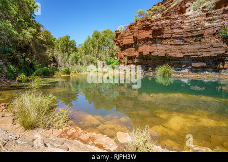 Randonnées à fortescue falls dans la région de dales gorge, parc national de Karijini, Australie occidentale Banque D'Images