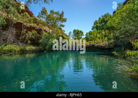 Randonnées à fern piscine à dales gorge, parc national de Karijini, Australie occidentale Banque D'Images