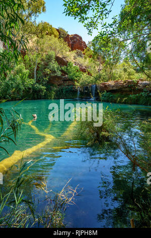 Randonnées à fern piscine à dales gorge, parc national de Karijini, Australie occidentale Banque D'Images