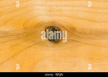 Knot marques sur planche en bois close up Banque D'Images