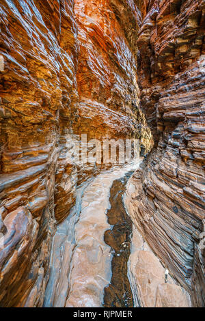 Randonnées sur la main courante piscine dans le weano gorge située dans le parc national de Karijini, Australie occidentale Banque D'Images