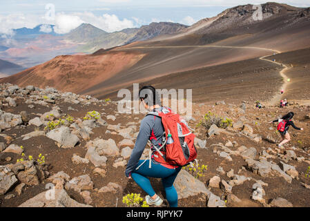 Randonneurs sur le sentier de randonnée, le Parc National de Haleakala, Maui, Hawaii Banque D'Images