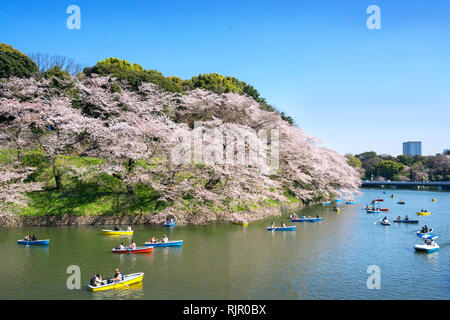 Les fleurs de cerisier et des bateaux autour de Chidorigafuchi, Tokyo, Japon. Banque D'Images