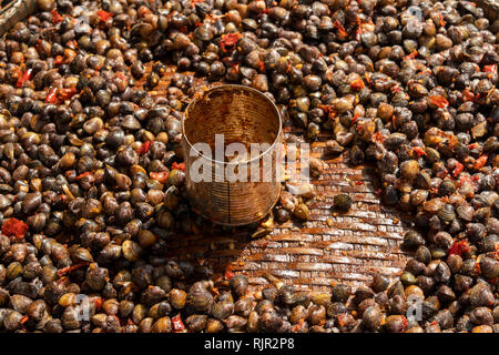 Cambodge, Preah Koh Kong, du centre-ville, le Marché Central, Dong Psar Tong, avec blocage des mollusques de conserve vide mesurer entouré par les coques Banque D'Images