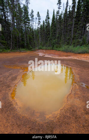 Les pots de peinture dans le parc national de Kootenay, Colombie-Britannique, Canada Banque D'Images