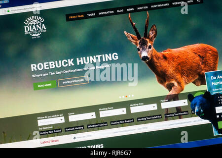 Page d'accueil du site internet de Diana Tours faisant la promotion de leur chasse chasse roebuck tours. Banque D'Images