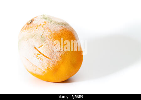 L'Embarras orange avec moule, sur fond blanc Banque D'Images