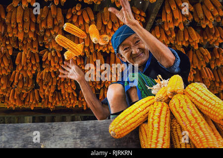YENBAI - SEP 20 : Non Défini Femme Hmong vietnamiens sont jeter le maïs dans la chambre de stockage du maïs le 20 septembre 2017 à mu cang chai distri Banque D'Images
