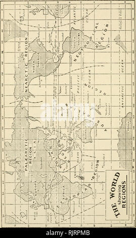 . Un livre d'oiseaux : un livre de poche pour une utilisation sur le terrain. Les oiseaux -- Identification de l'Australie. . Veuillez noter que ces images sont extraites de la page numérisée des images qui peuvent avoir été retouchées numériquement pour plus de lisibilité - coloration et l'aspect de ces illustrations ne peut pas parfaitement ressembler à l'œuvre originale.. John Leach, Albert, 1870-1929 ; l'expédition scientifique de l'avertisseur sonore (1894). Melbourne : Whitcombe &AMP ; Tombs Banque D'Images