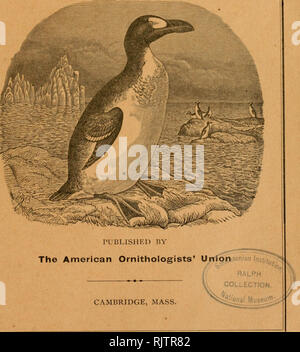 . Le Pingouin. Les oiseaux. Vieille POURSUITE DU VOL Nouvelle ?r'xSx'x I BULLETIN DE L'Nuttall Ornithological Club IvoLX^II Le Pingouin un journal de ©rnitbolooB vol. 2Z2€XX -Octobre, 1905- L'OTI. -4. Publié par l'American Ornithologists' CAMBRIDGE, MASS. Entré comme de deuxième classe affaire dans le bureau de poste à Boston. Le Massachusetts. Veuillez noter que ces images sont extraites de la page numérisée des images qui peuvent avoir été retouchées numériquement pour plus de lisibilité - coloration et l'aspect de ces illustrations ne peut pas parfaitement ressembler à l'œuvre originale.. L'American Ornithologists' Union. Washington, D. C. : American ou Banque D'Images