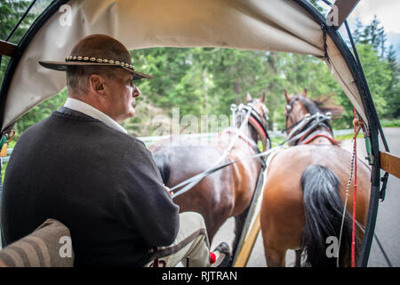 Un homme de chevaux de lecteurs à partir d'un wagon dans les Tatras et dans le Parc National des Tatras,lesser Poland Vovoidship, Pologne. Banque D'Images