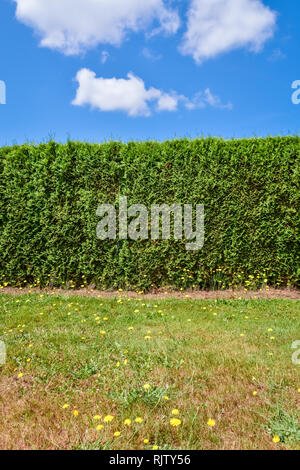 Couverture verte et de la pelouse en face sur fond de ciel bleu Banque D'Images
