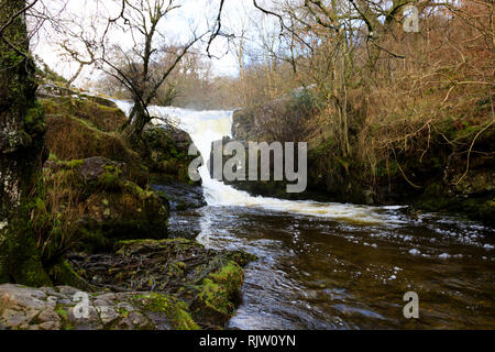 Aira Force cascade, Naomé, Penrith, Lake District, Cumbria, Angleterre Banque D'Images