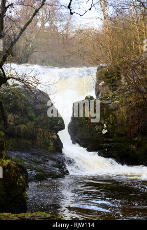 Aira Force cascade, Naomé, Penrith, Lake District, Cumbria, Angleterre Banque D'Images