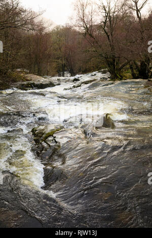 Aira Force cascade, Naomé, Penrith, Lake District, Cumbria, Angleterre Banque D'Images