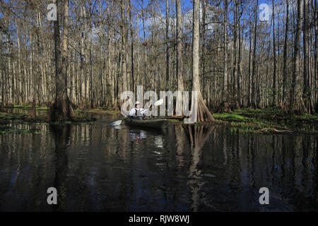 Ruisseau piscivore, Floride 01-13-2013 senior kayaks sur l'eau tachée de tanin de ruisseau piscivore sur un hiver paisible après-midi. Banque D'Images