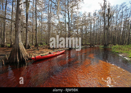 Ruisseau piscivore, Floride 01-13-2013 kayak rouge sur les rives du ruisseau piscivore sur un paisible après-midi d'hiver. Banque D'Images