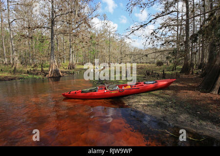 Ruisseau piscivore, Floride 01-13-2013 kayak rouge sur les rives du ruisseau piscivore sur un paisible après-midi d'hiver. Banque D'Images