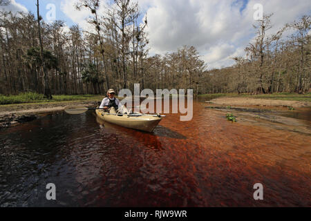 Ruisseau piscivore, Floride 01-13-2013 senior kayaks sur l'eau tachée de tanin de ruisseau piscivore sur un hiver paisible après-midi. Banque D'Images