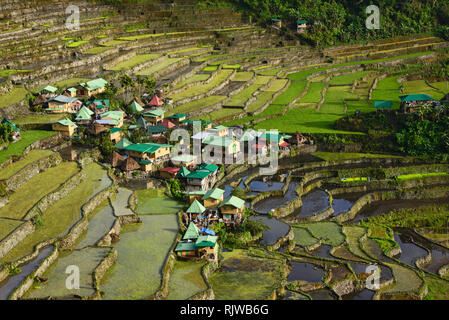 Les terrasses de riz de l'UNESCO de Batad Banaue, dans la brume, la Mountain Province, Philippines Banque D'Images