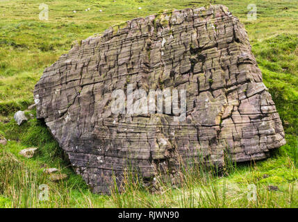 Grand bloc de grès rouge lits d'âge Dévonien (Vieux Grès Rouge) dans les montagnes Galtee Galty (montagnes), comté de Tipperary, Irlande Banque D'Images