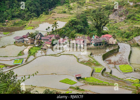 Les terrasses de riz de l'UNESCO de Batad Banaue, dans la brume, la Mountain Province, Philippines Banque D'Images