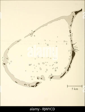 . Bulletin de recherche sur les atolls. Les récifs coralliens et d'îles ; biologie marine ; sciences de la mer. La figure 1. Carte des sites d'étude au sein de Laamu. Line entourant ombré (lagon et récifs coralliens peu profonds) et noir (île) régions indique la crête récifale. Les sites de référence des codes énumérés au Tableau I.. Veuillez noter que ces images sont extraites de la page numérisée des images qui peuvent avoir été retouchées numériquement pour plus de lisibilité - coloration et l'aspect de ces illustrations ne peut pas parfaitement ressembler à l'œuvre originale.. Smithsonian Institution. Presse ; Conseil national de recherches (U. S. ). Conseil scientifique du Pacifique ; Smith Banque D'Images