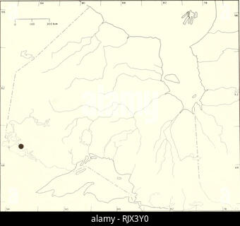 . Atlas des plantes vasculaires rares de l'Ontario. Les plantes rares, la botanique. LILIACEAE Allium cernuum oignon ail sauvage signe Roth 1] f r. ^j /Â ¢"' '" """Â Â°Â°(&amp ;)ÃÂ°^ »^ j '). C-J / 1" ^^^^x rf t&gt ; 1^. yf^^^^^^^}^ j  '^^H^^^ ^^Ã Co p^^» ^ f . Veuillez noter que ces images sont extraites de la page numérisée des images qui peuvent avoir été retouchées numériquement pour plus de lisibilité - coloration et l'aspect de ces illustrations ne peut pas parfaitement ressembler à l'œuvre originale.. Argus, George W. (George William) ; Musée National des Sciences Naturelles (Canada). Division de la botanique. Ottawa Banque D'Images